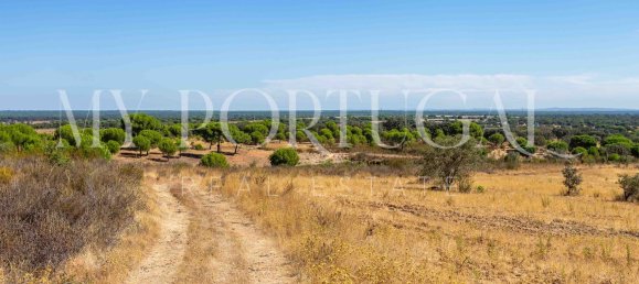 13 Schlafzimmer Villa in Grandola, Portugal, Nr. 146102 3