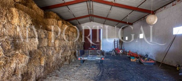 13 Schlafzimmer Villa in Grandola, Portugal, Nr. 146102 10