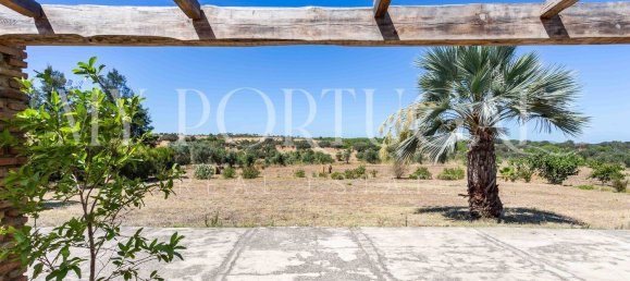 13 Schlafzimmer Villa in Grandola, Portugal, Nr. 146102 19