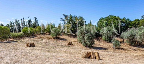 13 Schlafzimmer Villa in Grandola, Portugal, Nr. 146102 9