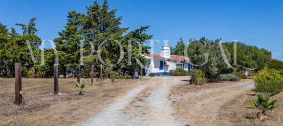 13 Schlafzimmer Villa in Grandola, Portugal, Nr. 146102 45