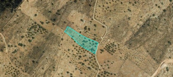 5826m² hôtel à vendre à Agios Nikolaos, Lasithi, Crete, Greece № 1947 5