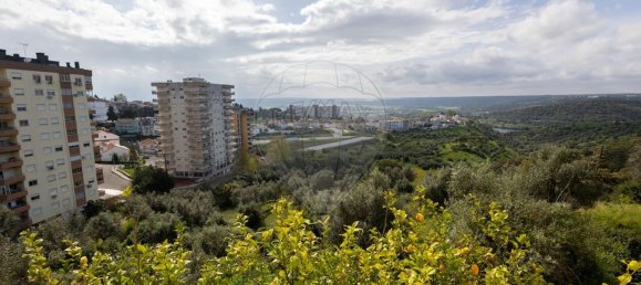 3 Schlafzimmer Wohnung in Abrantes, Portugal, Nr. 232532 20