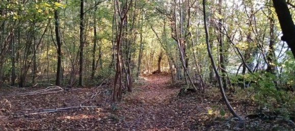 5 rooms House in Lippe, Germany No. 227929 5