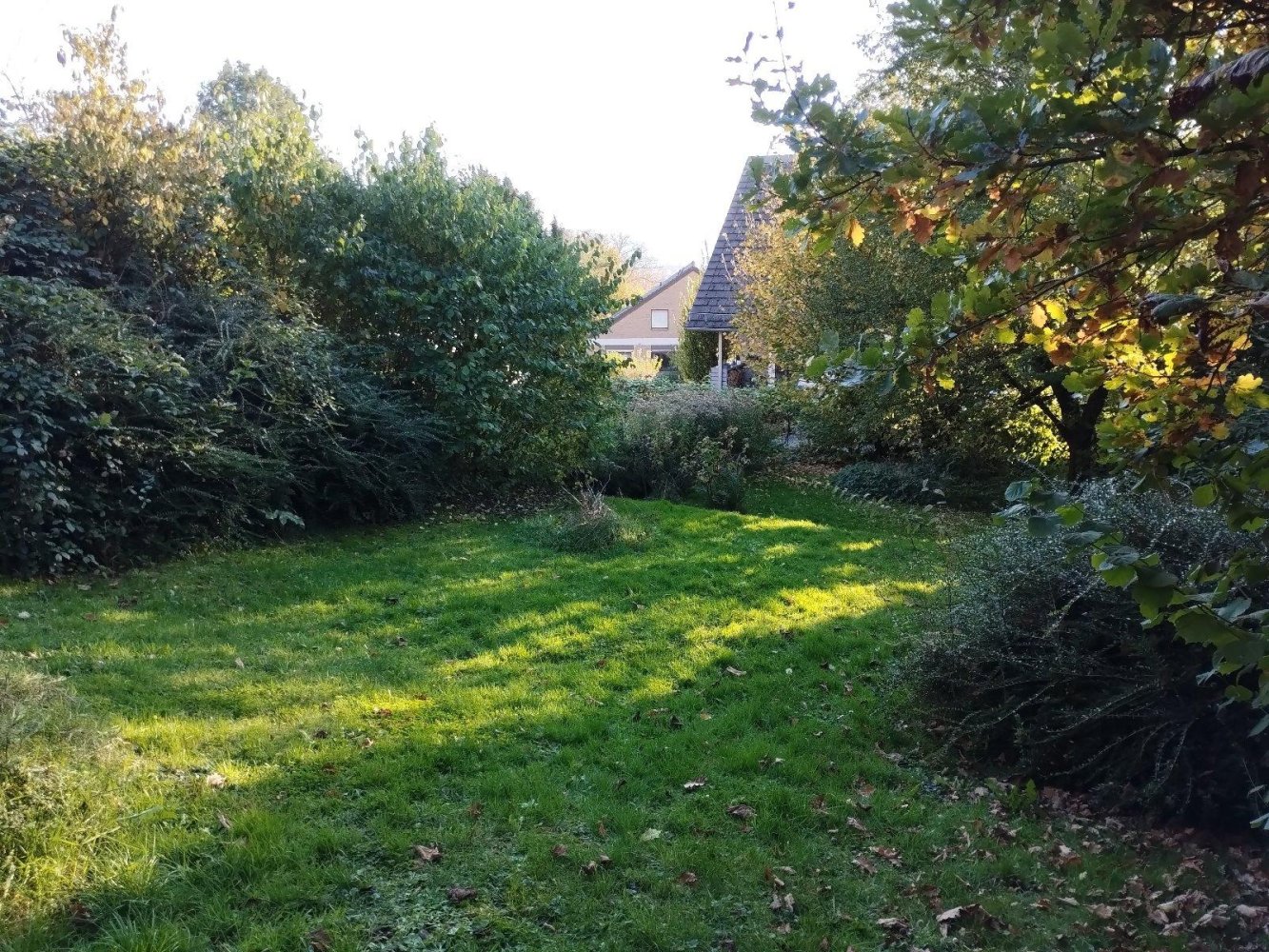 5 rooms House in Lippe, Germany No. 227929