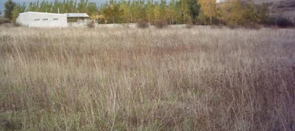 Земельный участок 10000м² в Леон, Испания № 68260 4