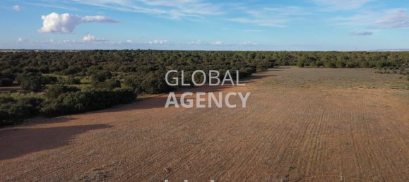 920000m² Land in Albacete, Spain No. 186861 28