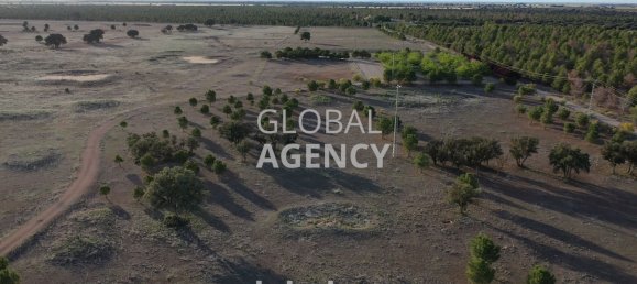 920000m² Land in Albacete, Spain No. 186861 29