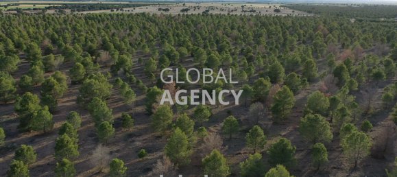 Grundstück in Albacete, Spain 920000m², Nr. 186861 17