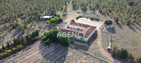 920000m² Land in Albacete, Spain No. 186861 22