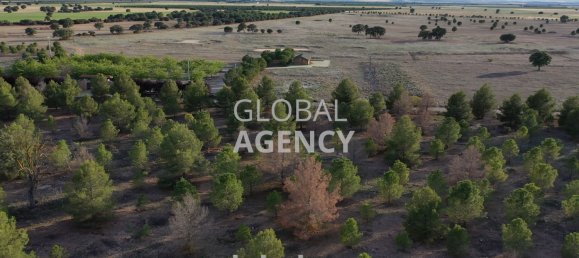 Grundstück in Albacete, Spain 920000m², Nr. 186861 20