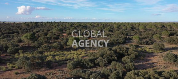 Grundstück in Albacete, Spain 920000m², Nr. 186861 19