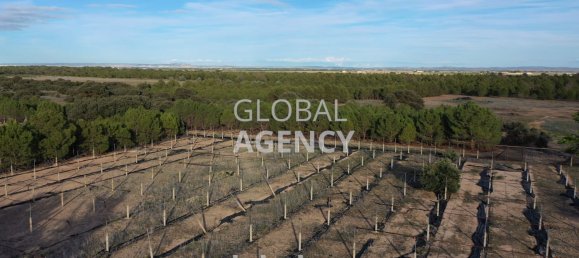 Grundstück in Albacete, Spain 920000m², Nr. 186861 2