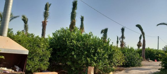 1 bedroom House in Beniajan, Spain No. 156095 30