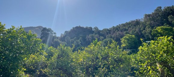 1 bedroom House in Beniajan, Spain No. 156095 24