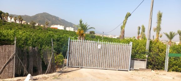 1 bedroom House in Beniajan, Spain No. 156095 31