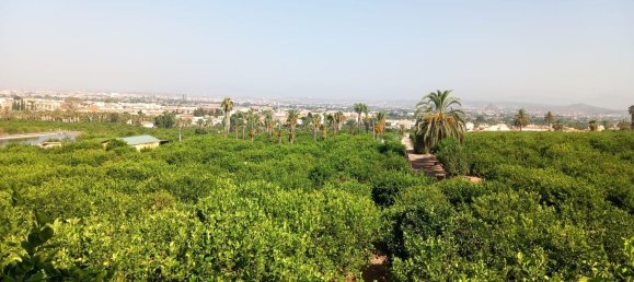 1 bedroom House in Beniajan, Spain No. 156095 32