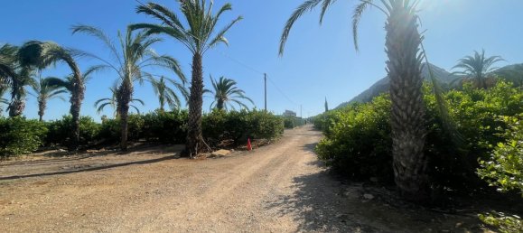 1 bedroom House in Beniajan, Spain No. 156095 23