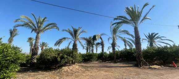 1 bedroom House in Beniajan, Spain No. 156095 21