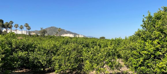 1 bedroom House in Beniajan, Spain No. 156095 27