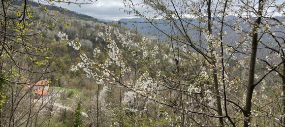 Casa de 20 habitaciónes en Pezzolo Valle Uzzone, Italy No. 114883 37