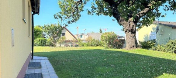 3-Zimmer Haus in Favoriten, Austria, Nr. 138345 5