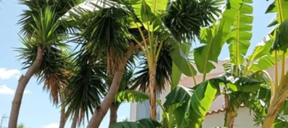 4 bedrooms House in La Pobla de Vallbona, Spain No. 135321 20