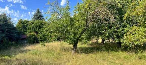 3 bedrooms Townhouse in Markisch-Oderland, Germany No. 371821 11