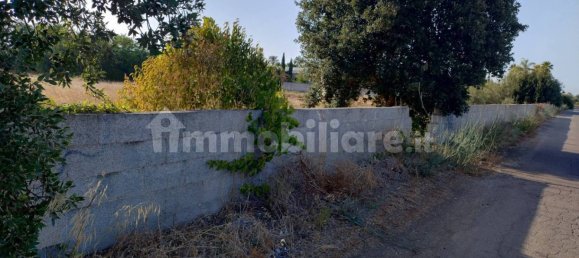 Grundstück in San Donaci, Italy 10000m², Nr. 267808 2