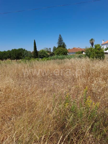 Terrain à Riachos, Portugal 816m² No. 214345