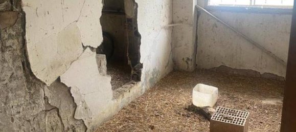 7-Zimmer Haus in Rimini, Italy, Nr. 20813 11