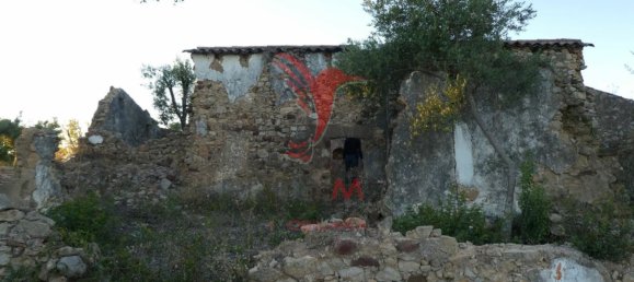  قطعة أرض في Santa Catarina da Fonte do Bispo, Portugal 15000متر مربع رقم 68750 24