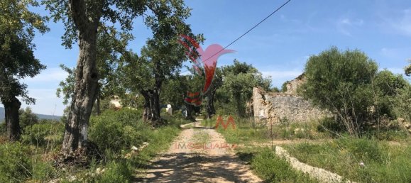  قطعة أرض في Santa Catarina da Fonte do Bispo, Portugal 15000متر مربع رقم 68750 14