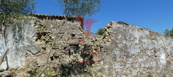  قطعة أرض في Santa Catarina da Fonte do Bispo, Portugal 15000متر مربع رقم 68750 20