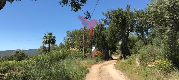  قطعة أرض في Santa Catarina da Fonte do Bispo, Portugal 15000متر مربع رقم 68750 13