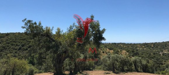  قطعة أرض في Santa Catarina da Fonte do Bispo, Portugal 15000متر مربع رقم 68750 9