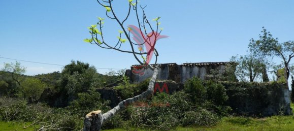  قطعة أرض في Santa Catarina da Fonte do Bispo, Portugal 15000متر مربع رقم 68750 22