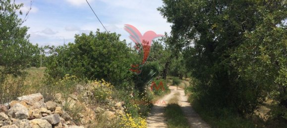  قطعة أرض في Santa Catarina da Fonte do Bispo, Portugal 15000متر مربع رقم 68750 17