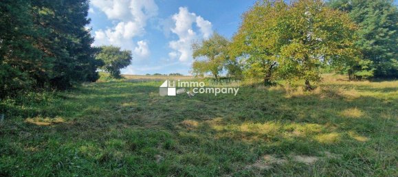 Земельный участок 4134м² в Манерсдорф ан дер Рабниц, Австрия № 10127 3