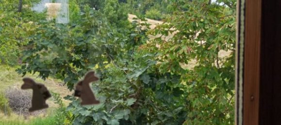 4 Schlafzimmer Haus in Zocca, Italy, Nr. 302451 10