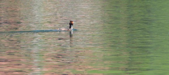 Grundstück in Weißensee, Austria, Nr. 79116 7
