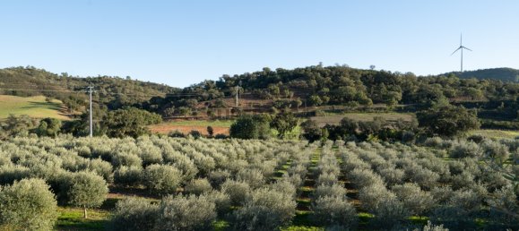 1 Schlafzimmer Haus in Sao Bartolomeu de Messines, Portugal, Nr. 168977 24