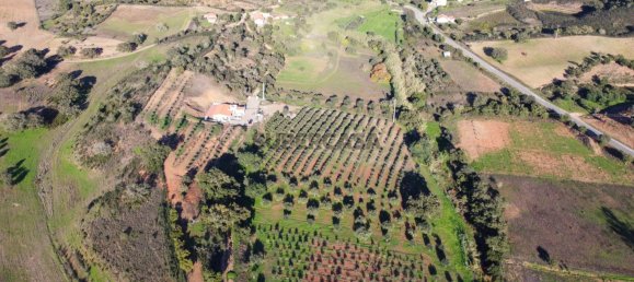 1 Schlafzimmer Haus in Sao Bartolomeu de Messines, Portugal, Nr. 168977 10