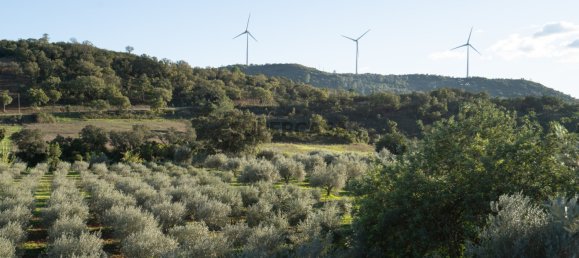 1 Schlafzimmer Haus in Sao Bartolomeu de Messines, Portugal, Nr. 168977 25