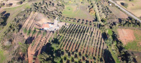 1 Schlafzimmer Haus in Sao Bartolomeu de Messines, Portugal, Nr. 168977 2