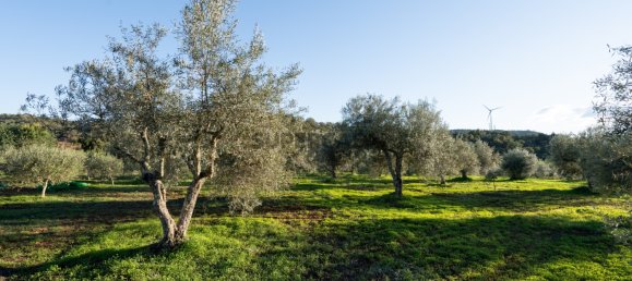 1 Schlafzimmer Haus in Sao Bartolomeu de Messines, Portugal, Nr. 168977 26