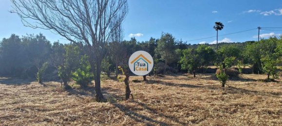 Земельный участок 4450м² в Лоле, Португалия № 86042 5