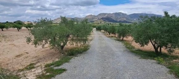 Casa de 6 dormitorios en Murcia, Spain No. 173086 5