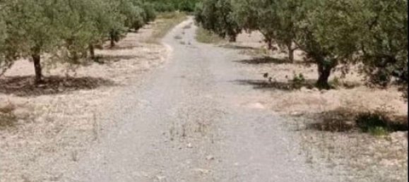 Casa de 6 dormitorios en Murcia, Spain No. 173086 16