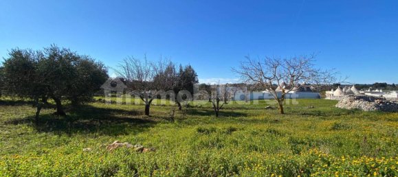 4 chambres Maison à Martina Franca, Italy No. 166214 43